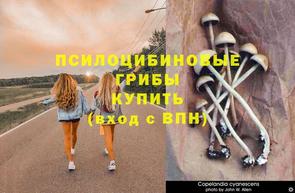 эйфоретик Медногорск